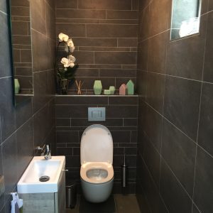 toilet-fonteintje